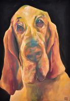 heike-fluegel-tiere01
